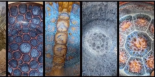 Frozen Pond Tutorial