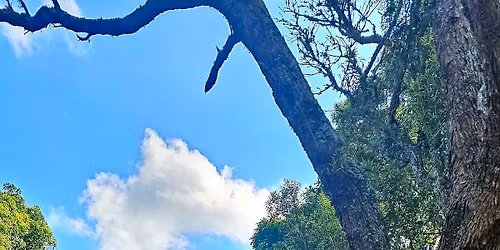 Sunday on Pari Market