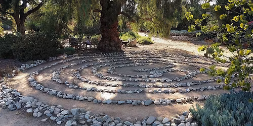 Approachable Integration of Nature Into Your Therapeutic Practice