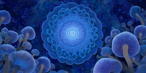 Breath & Sound Bath with Functional Fungi
