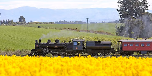 The Daffodil Express