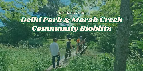 Delhi Park & Marsh Creek Community Bioblitz