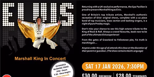 Elvis In Concert (16+ advised)