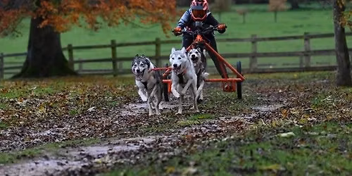 AMWA Rally - Brandon Forest (Season Opener)