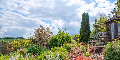 How To Make Plant Babies & 10 Other Ways To Save Money In The Garden - 8\/3\/25