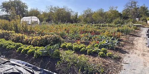 Soil Health: Foundation for Regenerative Agriculture