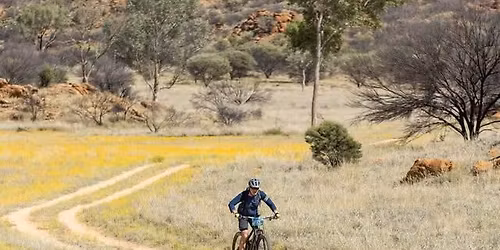 HOP #2 - Night Race, Eagle Court 