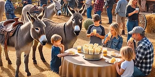 Sunset Fiesta Dinner with the Burros