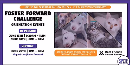 Foster Forward - in person event
