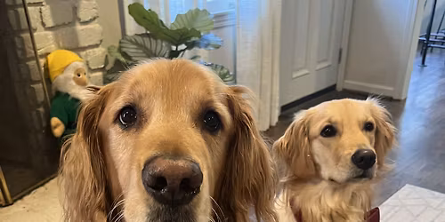 Homewood Christmas Parade