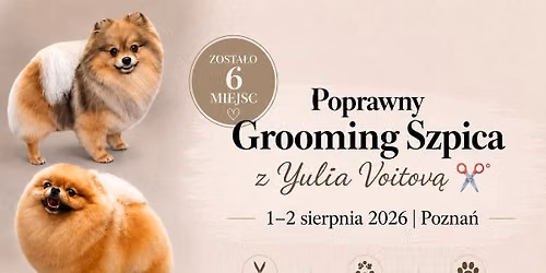 Poprawny Grooming Szpica By Yuliia Voitova