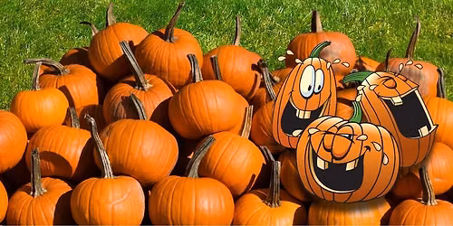 Halloween Pumpkin Decorating Workshop!