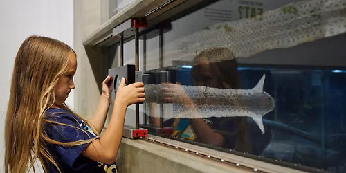 Adventures In Nature Summer Camp | Nocturnal Neighbors