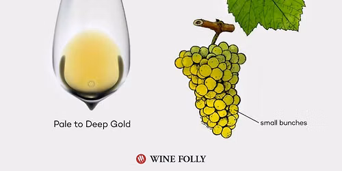 Chardonnay\u2026 Dispel the Myth 