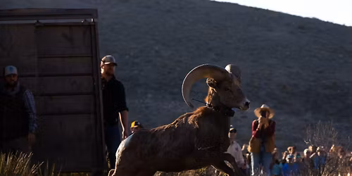 Parking Deathtrap - Franklin