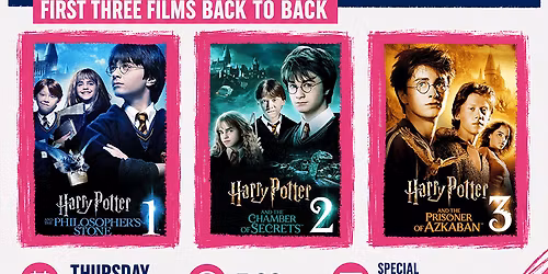 MOVIE NIGHT - OPEN AIR CINEMA - HARRY POTTER