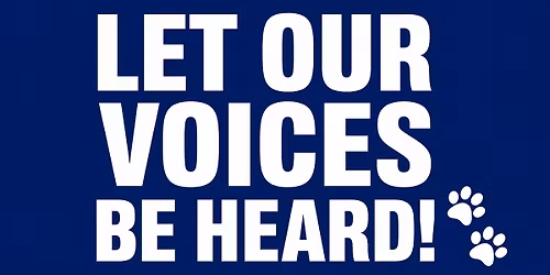 County Council Meeting: LET'S SHOW UP FOR THE ANIMALS