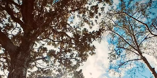 (Eng version) Halloween hike in Dublin mountains with Ukrainian Action