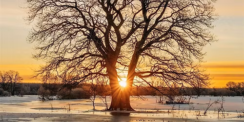 A Pocket of Soft, Slow, Still | A Day Yoga Retreat