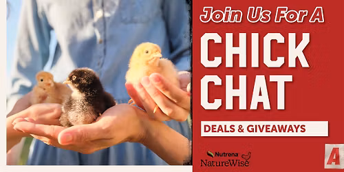 Nutrena Chick Chat at Atwoods