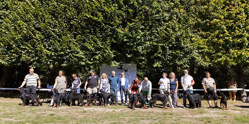 RASG - SPECIALE DE RACE SETTER GORDON AMIENS 