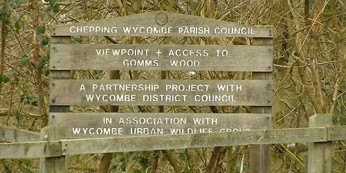 Gomm's Wood LNR Slow Worm Habitat Creation
