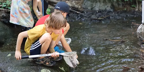 Water & Wildlife: Stream Explorers