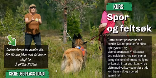 Spor og felts\u00f8k