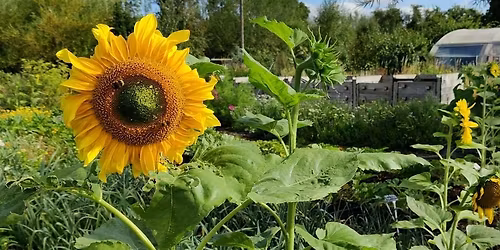 Grow Leader Course - Spring 2026