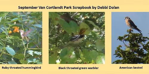 Van Cortlandt Nature Group Walk