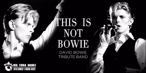 THIS IS NOT BOWIE - DAVID BOWIE TRIBUTE BAND live@BRASSERIE HOUBLON, Stra (VE)