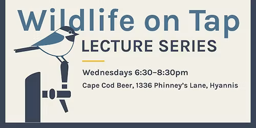 Wildlife on Tap: Raising Awareness, Protecting Atlantic White Sharks