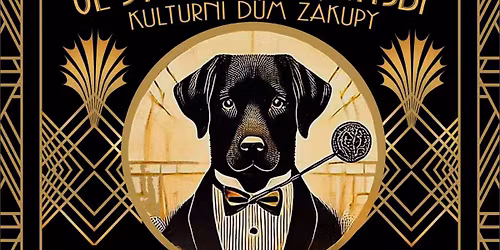 BENEFI\u010cN\u00cd PLES \u00daTULKU DOGSY