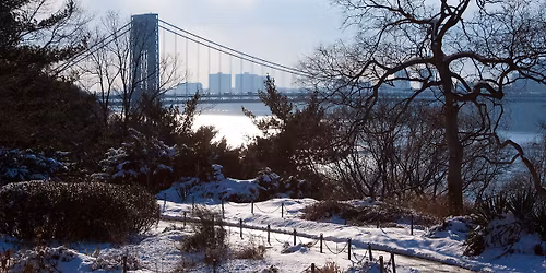 Parking Heathers - New York