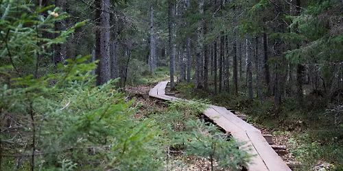 Huom. Ajankohta vaihtunut: Koko perheen mets\u00e4retki Suolij\u00e4rvell\u00e4 \/ Family Forrest Hike at Suolij\u00e4rvi