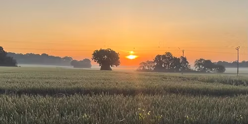 Goodnestone Christmas Market