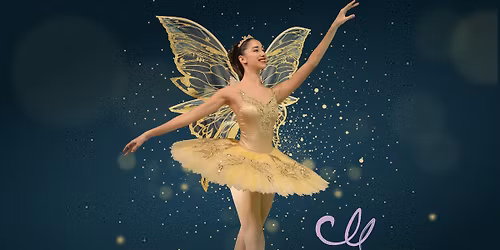 The Magic of Fairylandia