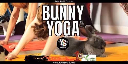 Adoptable Bunny Yoga at VFW Post 1