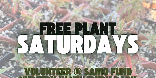 FREE PLANT SATURDAYS! - Native Plant Nursery Volunteering