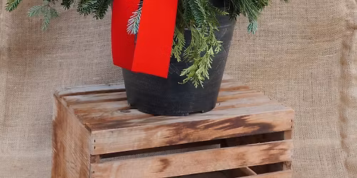 Davison Holiday Porch Pot Classes