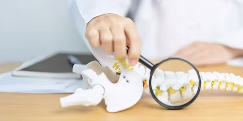 Conf\u00e9rence sur la sant\u00e9 vert\u00e9brale