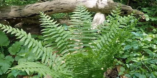 Trail Challenge: South Quarry Loop and Music Mound Loop