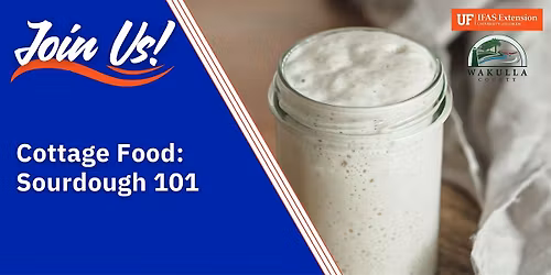 Cottage Food: Sourdough 101