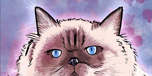 MOAR Burritos, MEOW! \ud83d\ude38