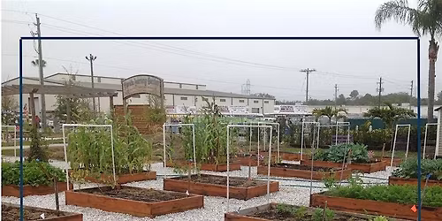 Florida Learning Garden Cleanup Day