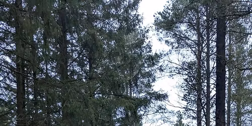 F\u00e6llesjagt 17.\/1.-2026