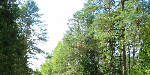 Black Girls Hike: St Leonard's Forest Circular - Sussex