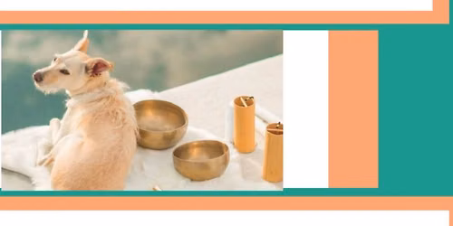 Hound Healing\u2026sound healing for dogs and their humans