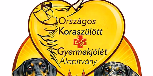 Szegedi Tacsk\u00f3 Tal\u00e1lkoz\u00f3
