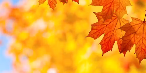 Fall Craft Fair - Moshannon Valley